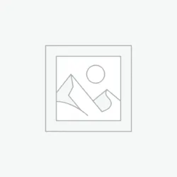 عنصر نائب Placeholder